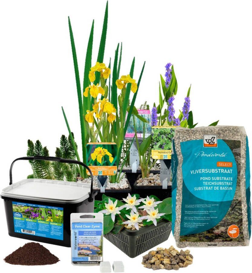 Vdvelde.com Vijverplanten Pakket Wit Winterhart 19 Waterplanten Voor kleine vijver ca. 500 1000 Liter Water Inclusief Vijvermanden Grond Substraat Bacteriën en Benodigdheden Van der Velde Waterplanten