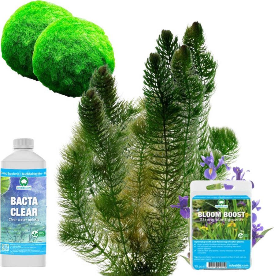 Vdvelde.com Vijverplanten Voeding Pakket L Voor 1.500 3.000 L Vijverplanten voeding en bacterien Plaatsing: -1 tot -100 cm