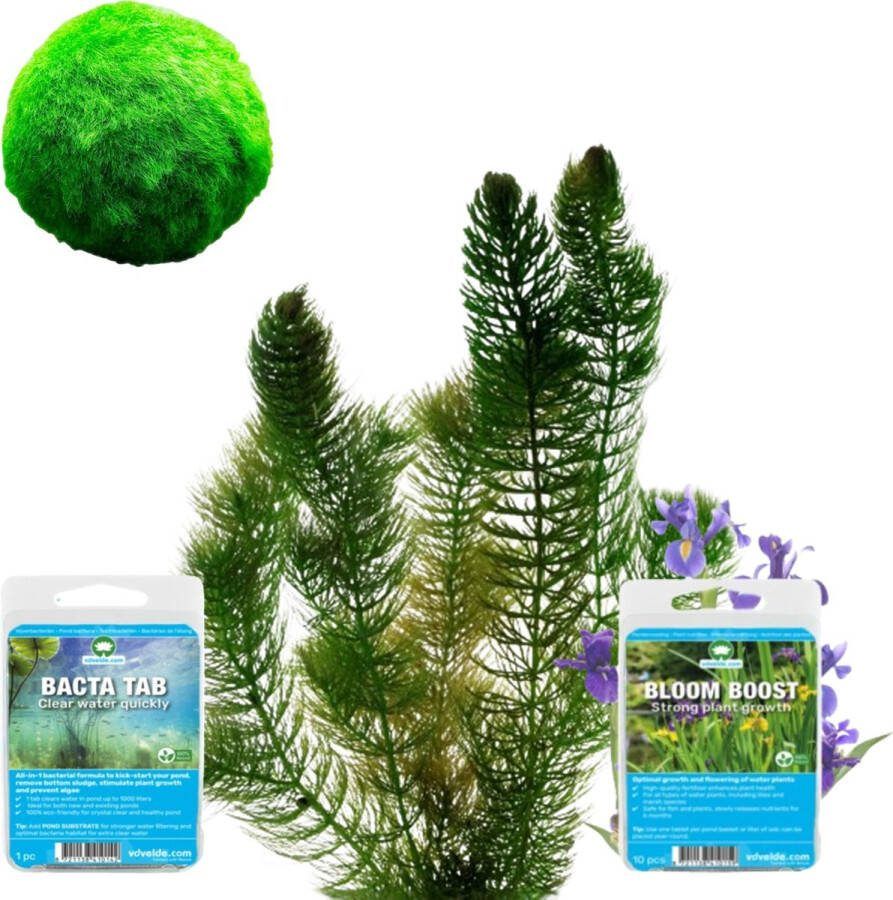 Vdvelde.com Vijverplanten Voeding Pakket M Voor 500 1.250 L Vijverplanten voeding en bacterien Plaatsing: -1 tot -100 cm