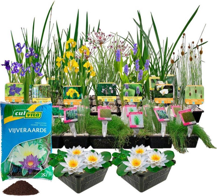 Vdvelde.com Waterplanten Pakket voor 5000 liter water 93 Winterharde Waterplanten Inclusief Vijvermanden Vijverplanten klei Afdekgrind en Waterplanten Voeding Van der Velde Waterplanten