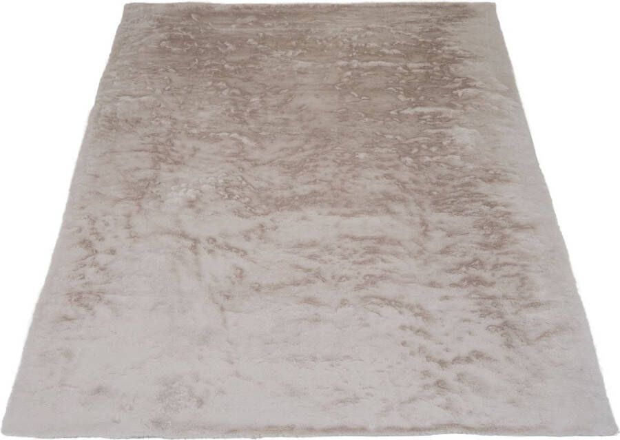 Veer Carpets Vloerkleed Gentle Beige 70 240 x 340 cm