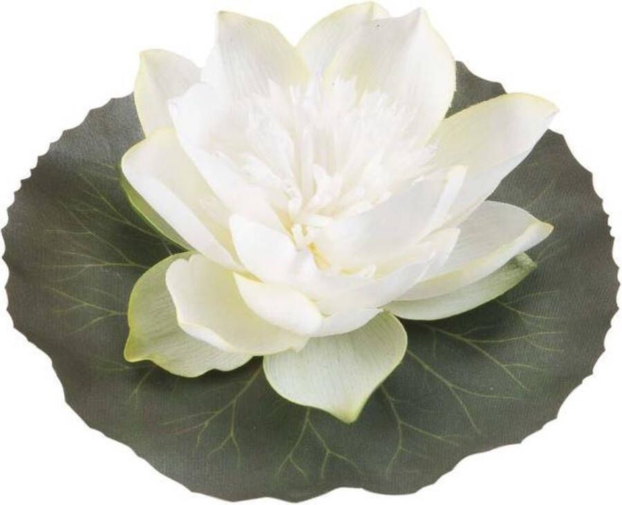 Velda Drijvende Vijverplant Lotus Wit 15 cm