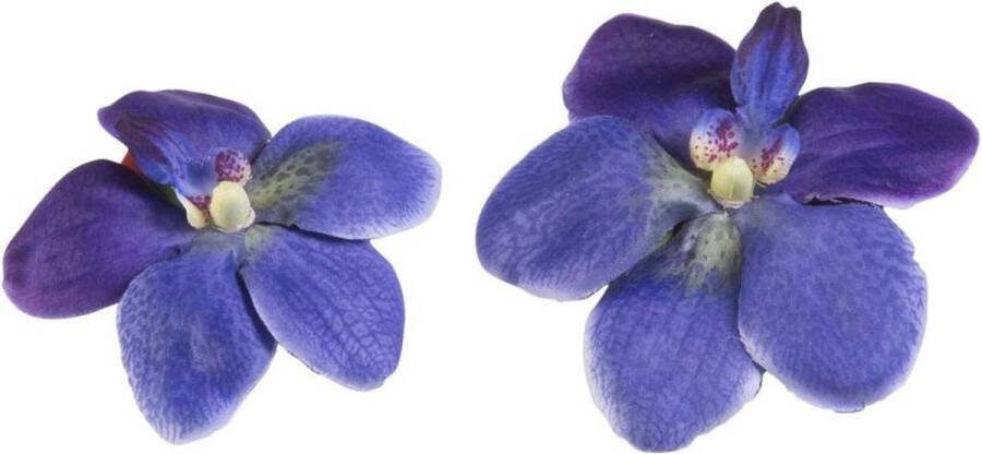 Velda Drijvende Vijverplant Orchidee Paars 7 cm