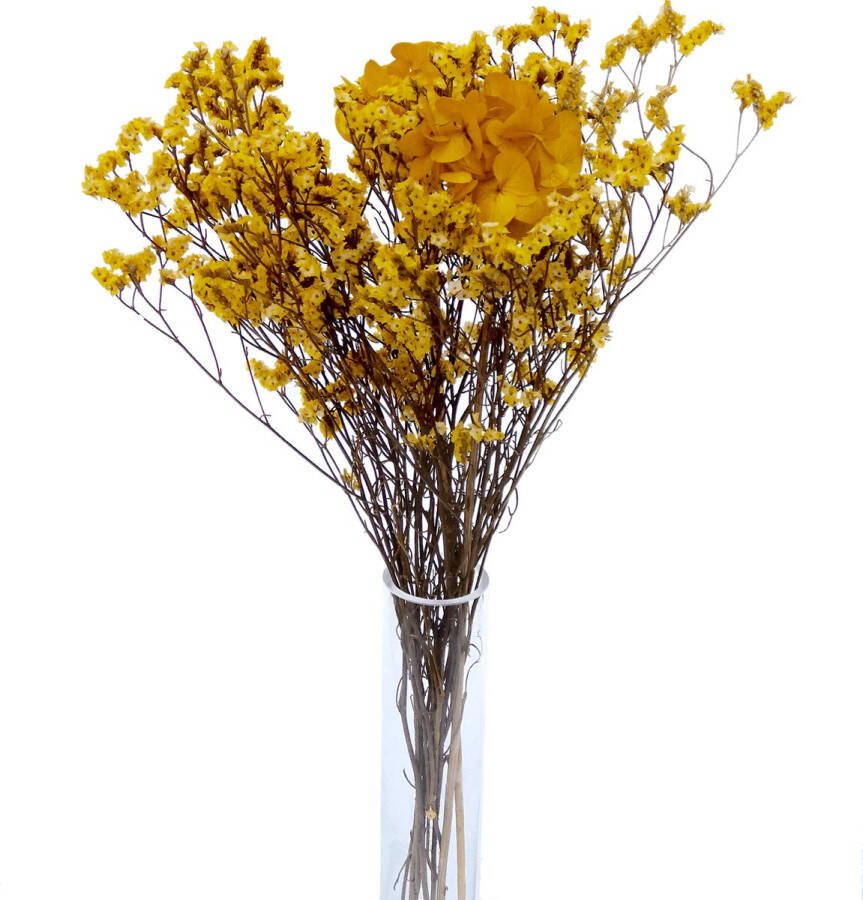 Vermont Flowers Gepreserveerde bloemen droogbloemen hortensias boeket 50 cm Moederdag cadeautje