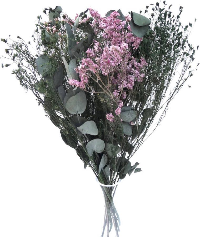 Vermont Flowers Gepreserveerde bloemen droogbloemen eucalyptus boeket 50 cm Moederdag cadeautje