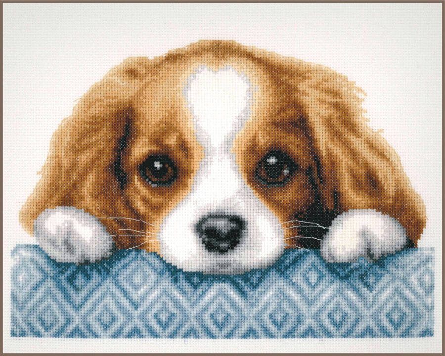 Vervaco Borduurpakket Hondje