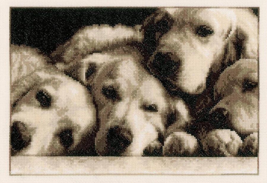 Vervaco Labradors borduren (pakket)