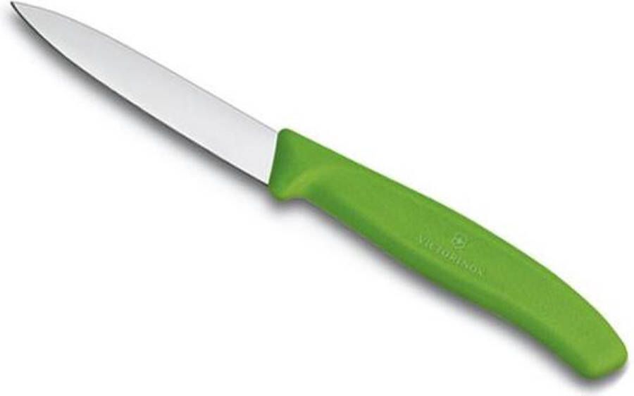 Victorinox Swiss Classic Schilmes- RVS Groen