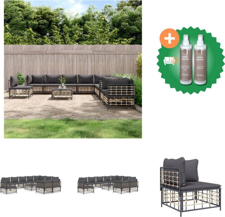 VidaXL 11 delige Loungeset met kussens poly rattan antracietkleurig Loungebank Inclusief Onderhoudsset