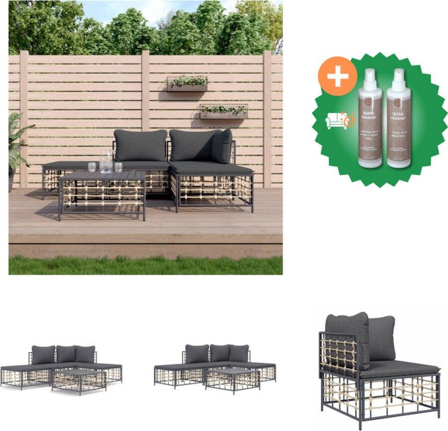 VidaXL 5 delige Loungeset met kussens poly rattan antracietkleurig Loungebank Inclusief Onderhoudsset