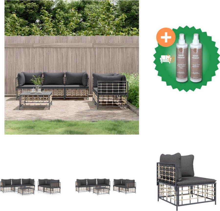 VidaXL Loungeset Antraciet Poly Rattan 72 x 72 x 66 cm Weerbestendig Loungebank Inclusief Onderhoudsset