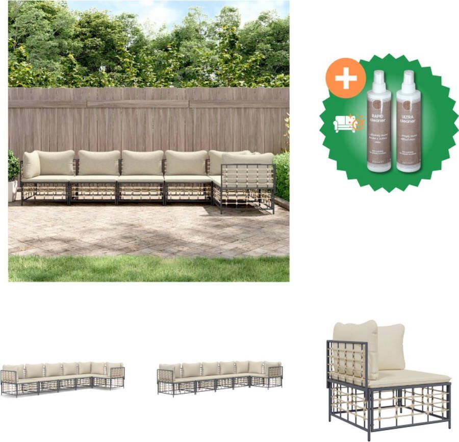 VidaXL Hoekbankset Antraciet Poly rattan 72 x 72 x 66 cm Weerbestendig Loungebank Inclusief Onderhoudsset