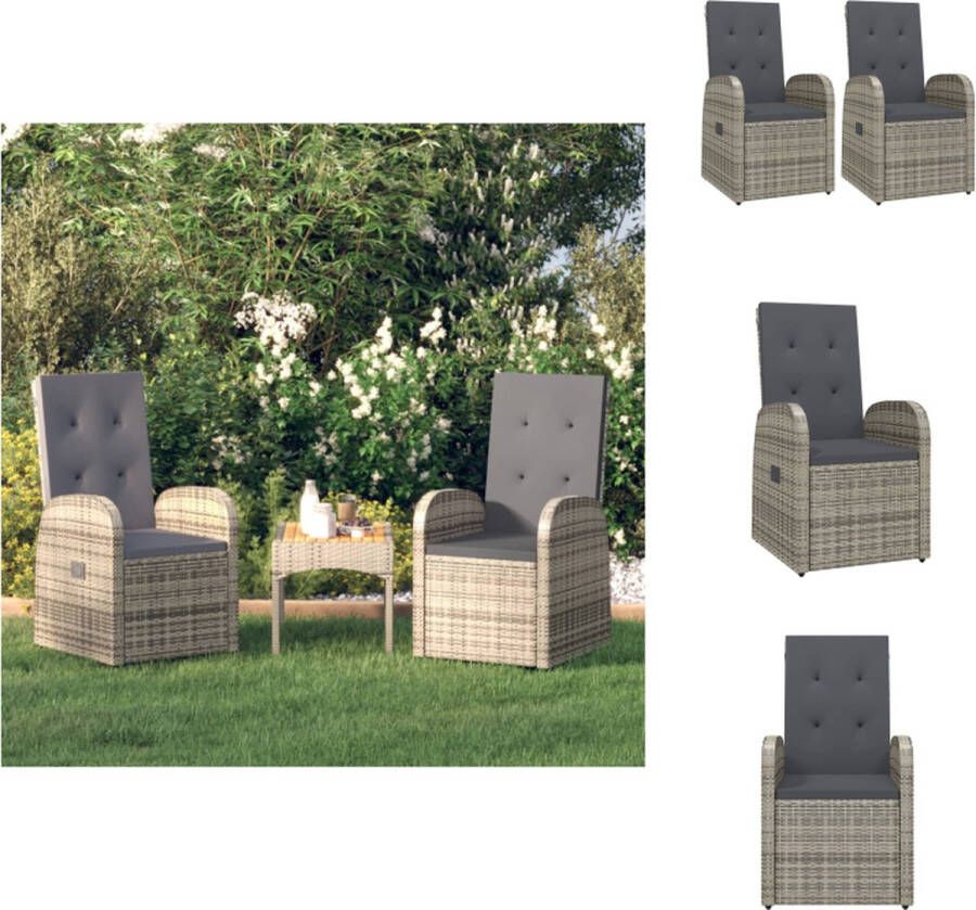 VidaXL Armstoelen Rattan Grijs 57x69x106 cm Verstelbaar Incl Kussens Tuinstoel