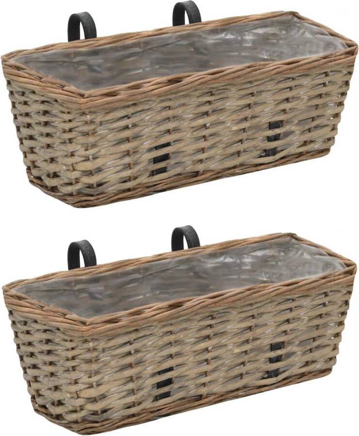 VidaXL -Balkonbakken-2-st-40-cm-wicker-met-PE-voering