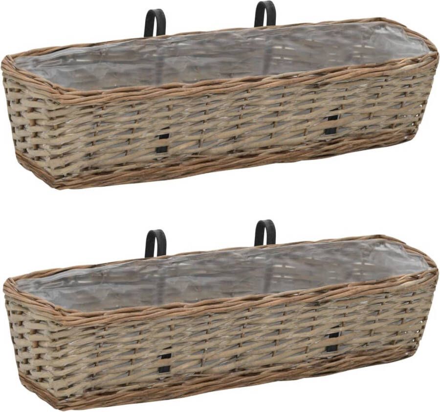 VidaXL -Balkonbakken-2-st-60-cm-wicker-met-PE-voering