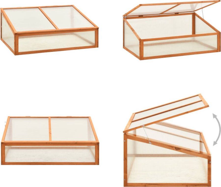 VidaXL Broeikas 100x65x40 cm vurenhout Tuinkas Tuinkassen Kas Kassen