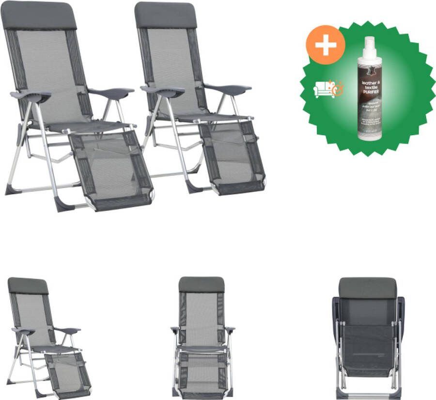 VidaXL Inklapbare Campingstoel Grijs 58 x 78 x 114 cm Stevig en Comfortabel Tuinstoel Inclusief Reiniger