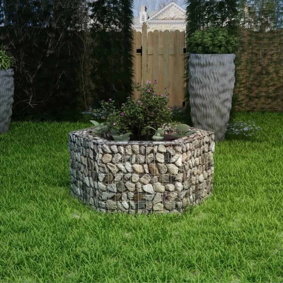 VidaXL -Gabion-plantenbak-verhoogd-zeshoekig-100x90x50-cm
