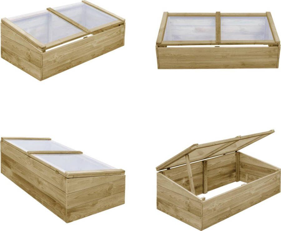 VidaXL Kas 100x50x35 cm geïmpregneerd grenenhout Koud Frame Koude Frames Kweekbak Kweekbakken