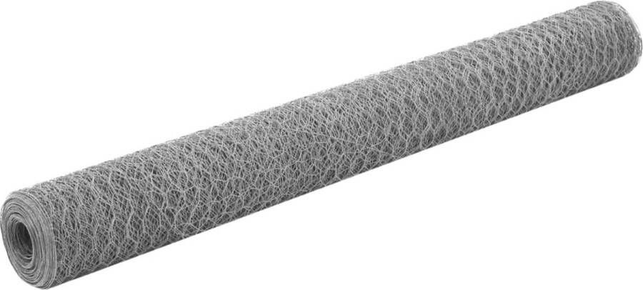 VidaXL -Kippengaas-25x1 2-m-gegalvaniseerd-staal-zilverkleurig