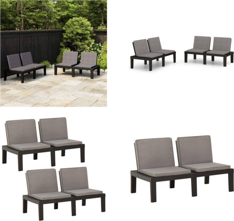 VidaXL Loungebanken 2 st met kussens kunststof grijs Loungebank Loungebanken Bankje Bankjes