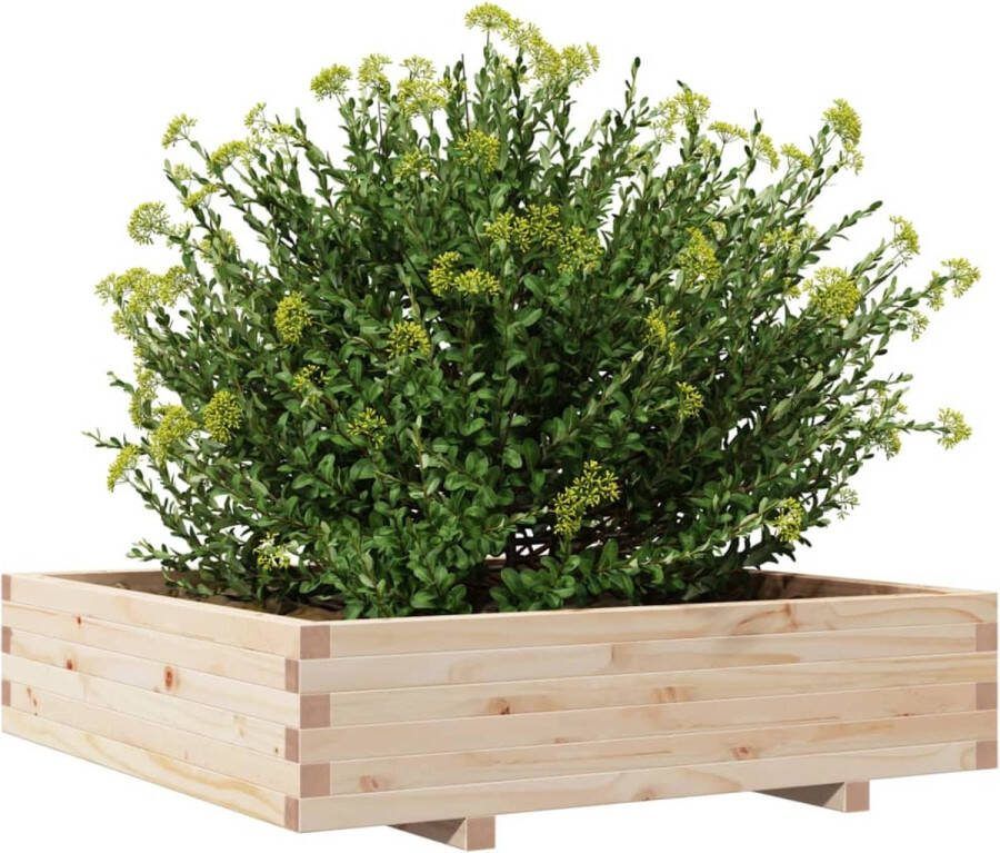 VidaXL Plantenbak 100x100x26 5 cm massief grenenhout