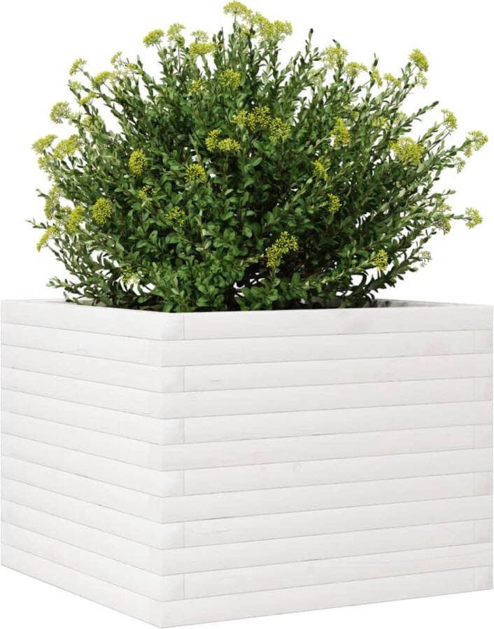 VidaXL Plantenbak 60x60x45 5 cm massief grenenhout wit