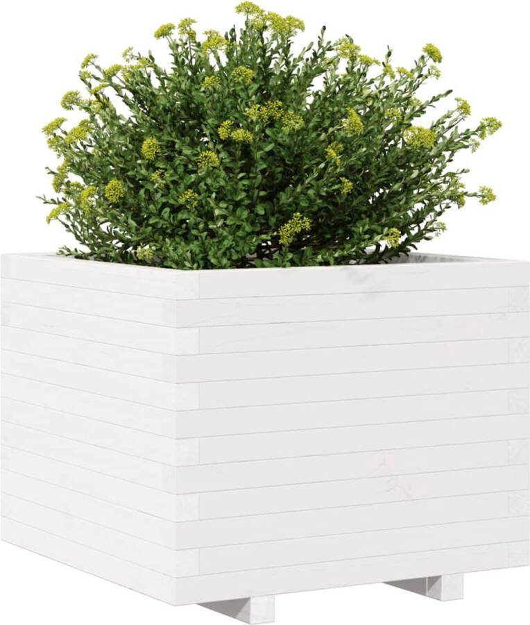 VidaXL Plantenbak 60x60x49 5 cm massief grenenhout wit