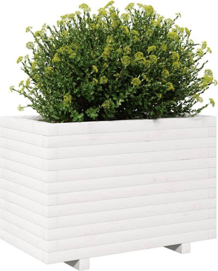 VidaXL Plantenbak 70x40x49 5 cm massief grenenhout wit