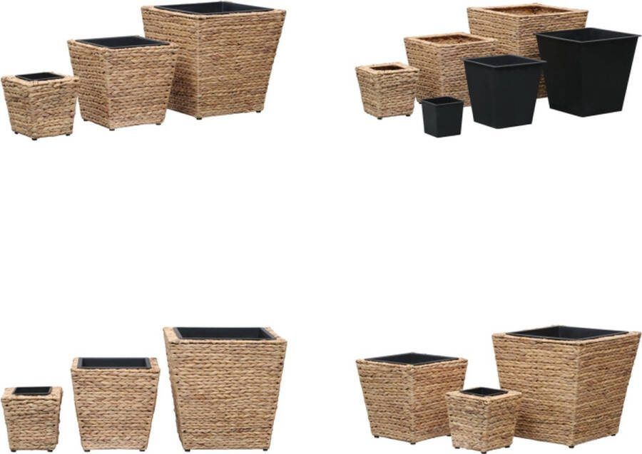 VidaXL Plantenbakken verhoogd 3 st waterhyacint Verhoogde Tuinbak Verhoogde Tuinbakken Verhoogde Plantenbak Verhoogde Plantenbakken