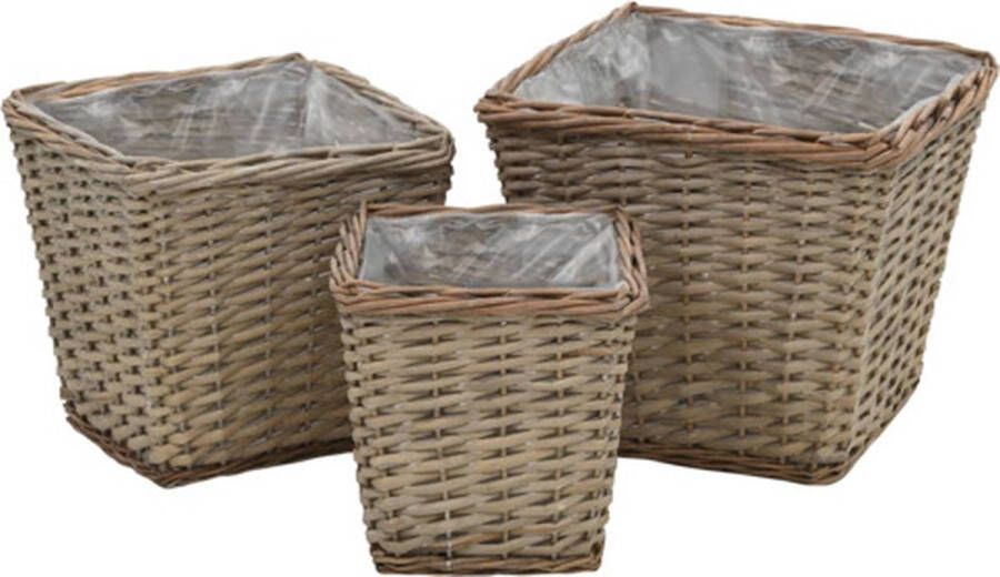 VidaXL -Plantenbakken-verhoogd-3-st-wicker-met-PE-voering