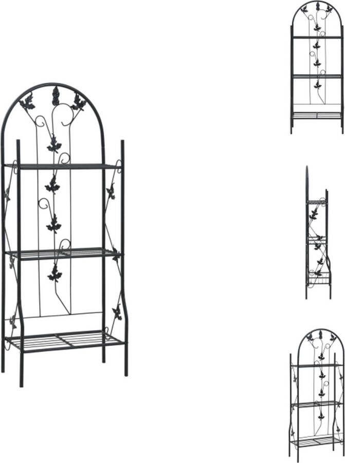 VidaXL Plantenrek Bladdesign 52 x 28 x 128 cm Zwart IJzeren buizen Weerbestendig Plantenrek