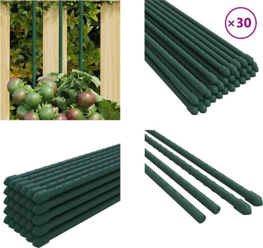 VidaXL Plantenstaken 30 st 180 cm staal groen Plantenstaak Plantenstaken Planten Steunstaak Plantensteun