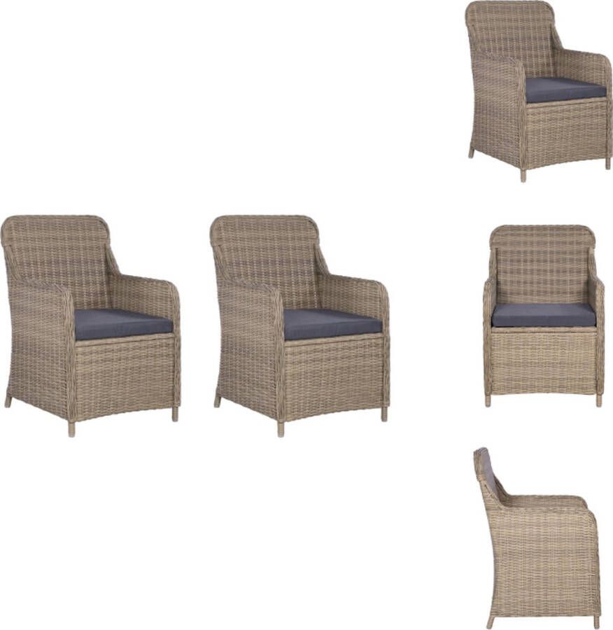 VidaXL Poly Rattan Armstoelen Set van 2 Bruin Donkergrijs 64x65x90 cm Tuinstoel