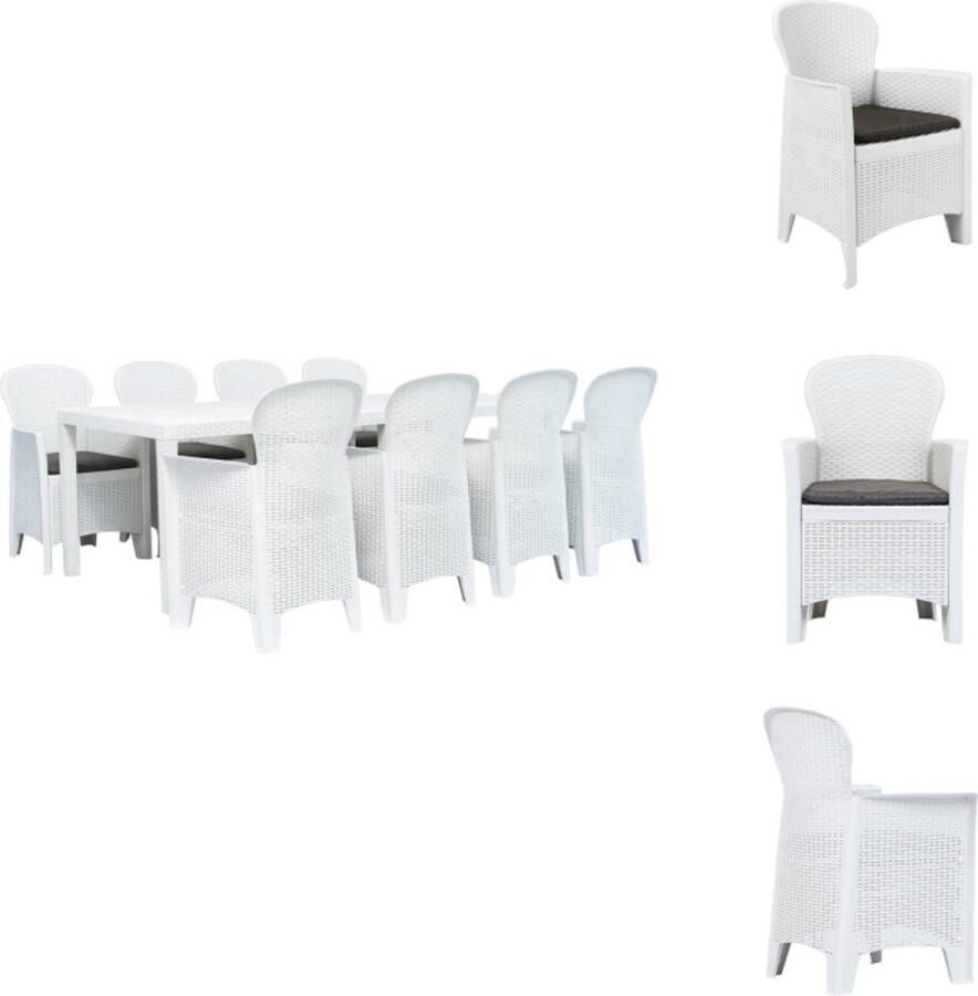 VidaXL Rattan-look tuinset tafel 220 x 90 x 72 cm stoelen 59 x 57 x 89 cm wit kunststof 8 stoelen 8 zitkussens Tuinset