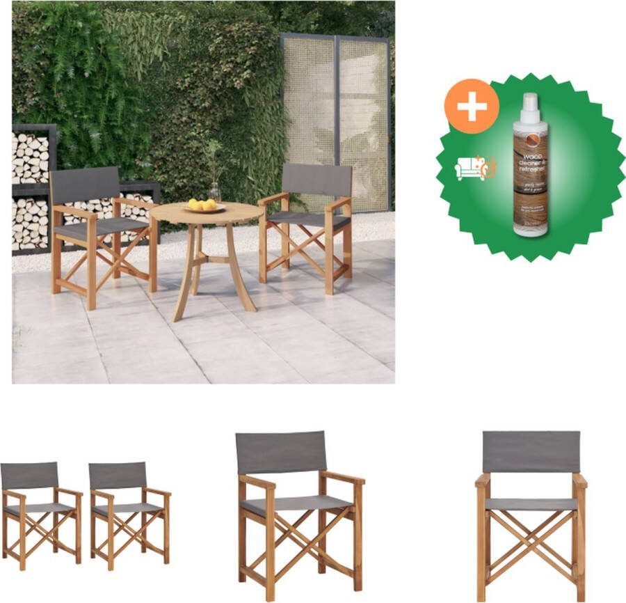 VidaXL Regisseursstoelen Massief teakhout Inklapbaar Grijs 57.5 x 54.5 x 85 cm Tuinstoel Inclusief Houtreiniger en verfrisser