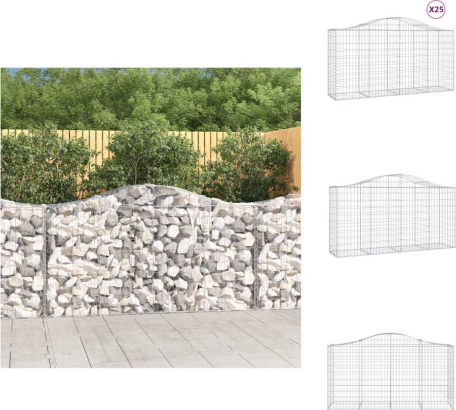 VidaXL Schanskorf 200 x 50 x 100 120 cm Gegalvaniseerd ijzer Decoratieve tuinbarrière Bloempot