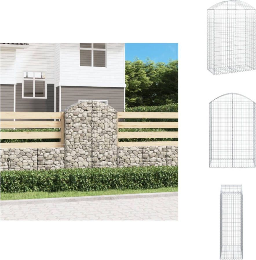 VidaXL Schanskorf Gabion 100 x 50 x 140 160 cm Geluiddempend Zilver Bloempot