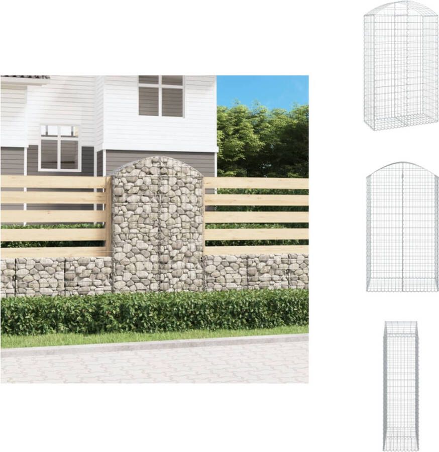 VidaXL Schanskorf Gabion 100x50x160 180 cm Geluidsisolerende tuinbarrière Bloempot