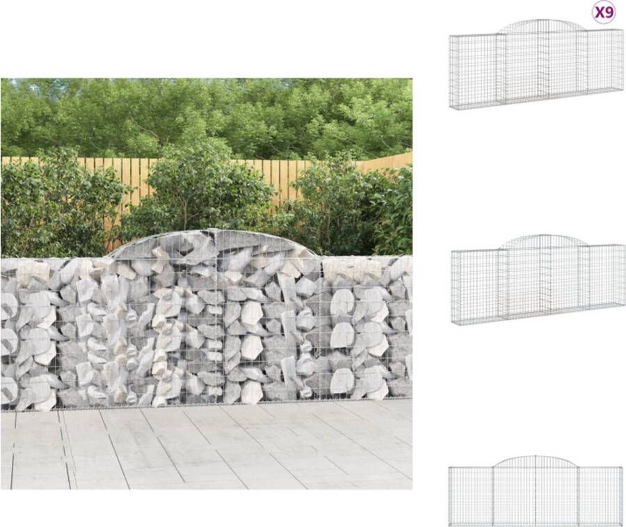 VidaXL schanskorf Gabion 300x30x100 120 cm decoratieve tuinbarrières Bloempot