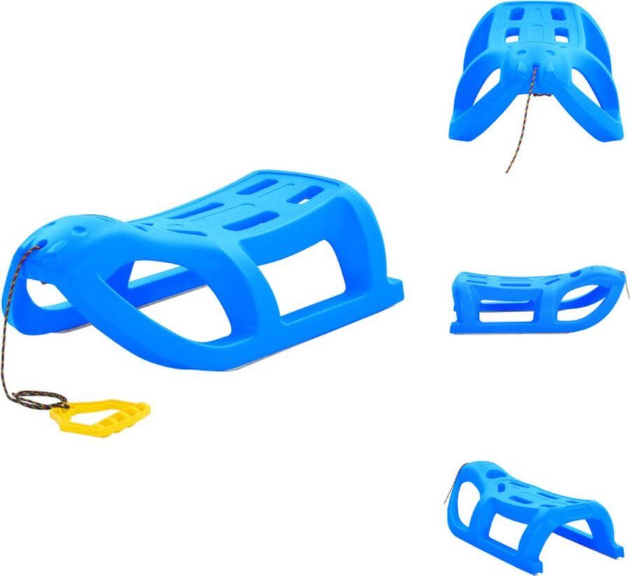 VidaXL Slee PP en stalen lopers 80 x 39.5 x 25.5 cm Blauw Slee