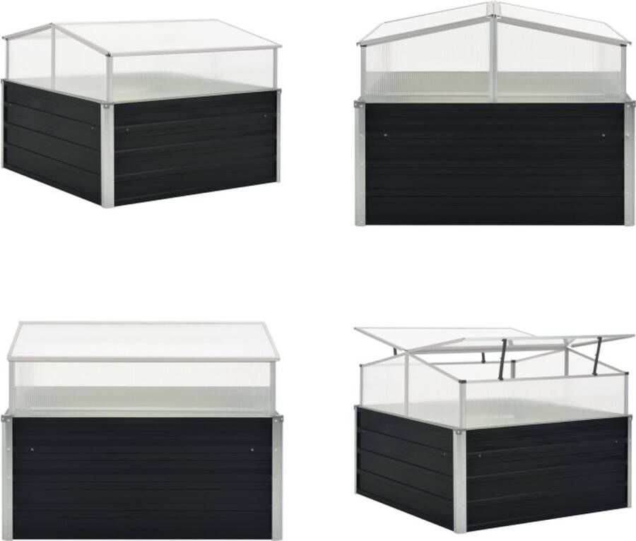 VidaXL Tuinkas 100x100x77 cm gegalvaniseerd staal antraciet Tuinkas Tuinkassen Kas Kassen