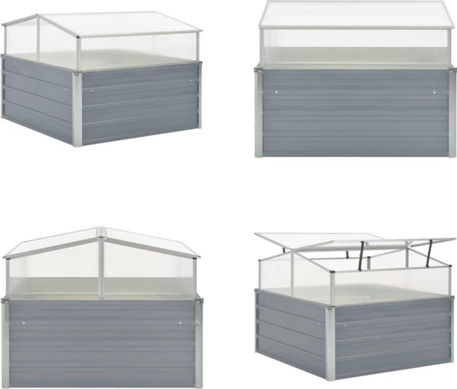 VidaXL Tuinkas 100x100x85 cm gegalvaniseerd staal grijs Tuinkas Tuinkassen Kas Kassen