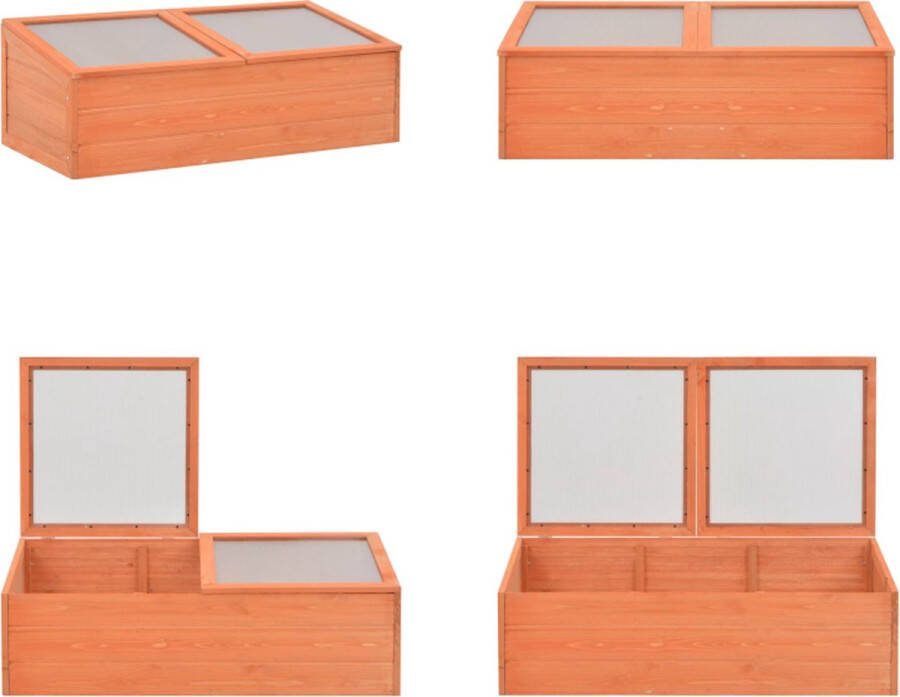 VidaXL Tuinkas 100x50x34 cm hout Broeikas Broeikassen Kas Kassen