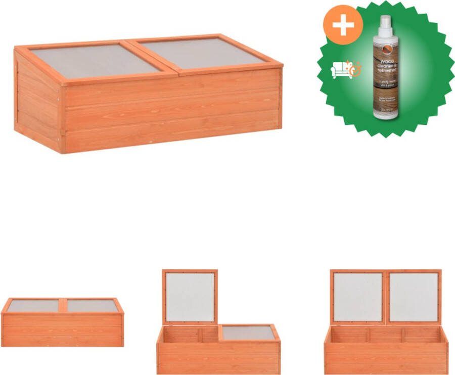 VidaXL Tuinkas 100x50x34 cm hout Kas Inclusief Houtreiniger en verfrisser