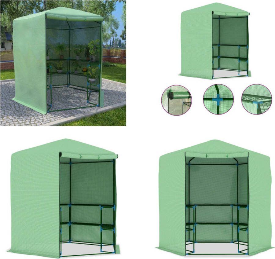 VidaXL Tuinkas met schappen 227x223 cm staal Broeikas Broeikassen Plantenkas Plantenkassen