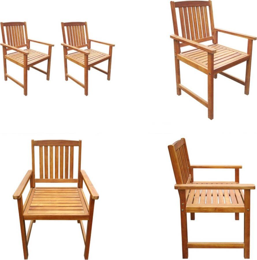 VidaXL Tuinstoelen 2 st massief acaciahout bruin Buitenstoel Buitenstoelen Tuinstoel Tuinstoelen