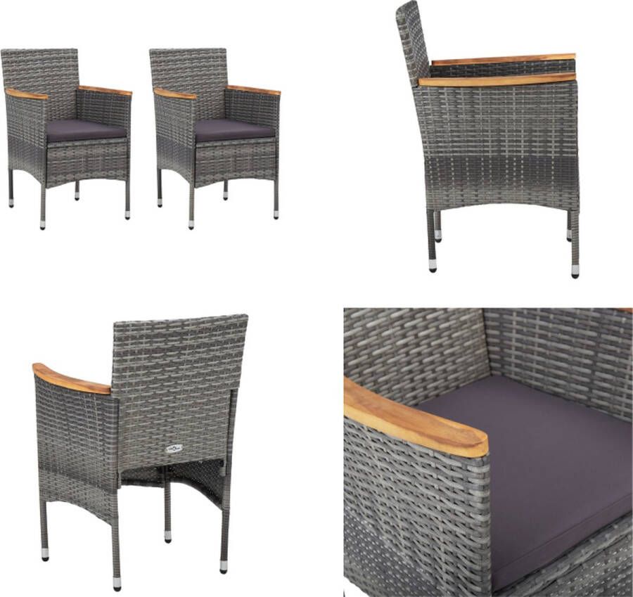VidaXL Tuinstoelen 2 st poly rattan grijs Rattan Stoel Rattan Stoelen Tuinstoel Tuinstoelen