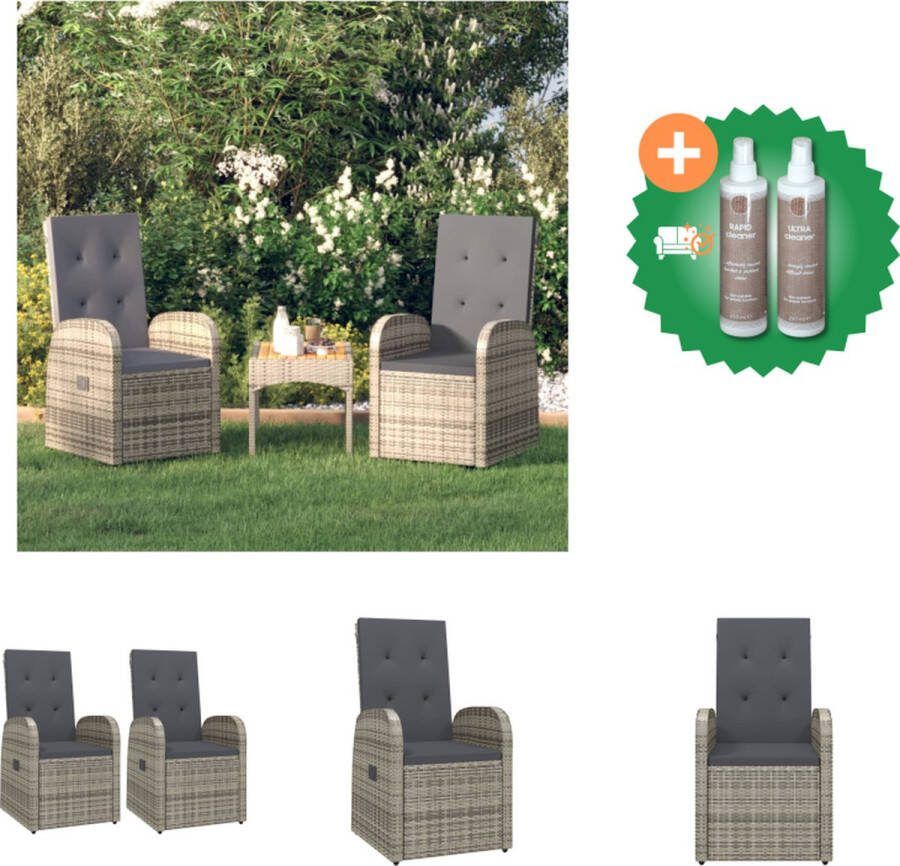 VidaXL Armstoelen Rattan Grijs 57x69x106 cm Verstelbaar Incl Kussens Tuinstoel Inclusief Onderhoudsset