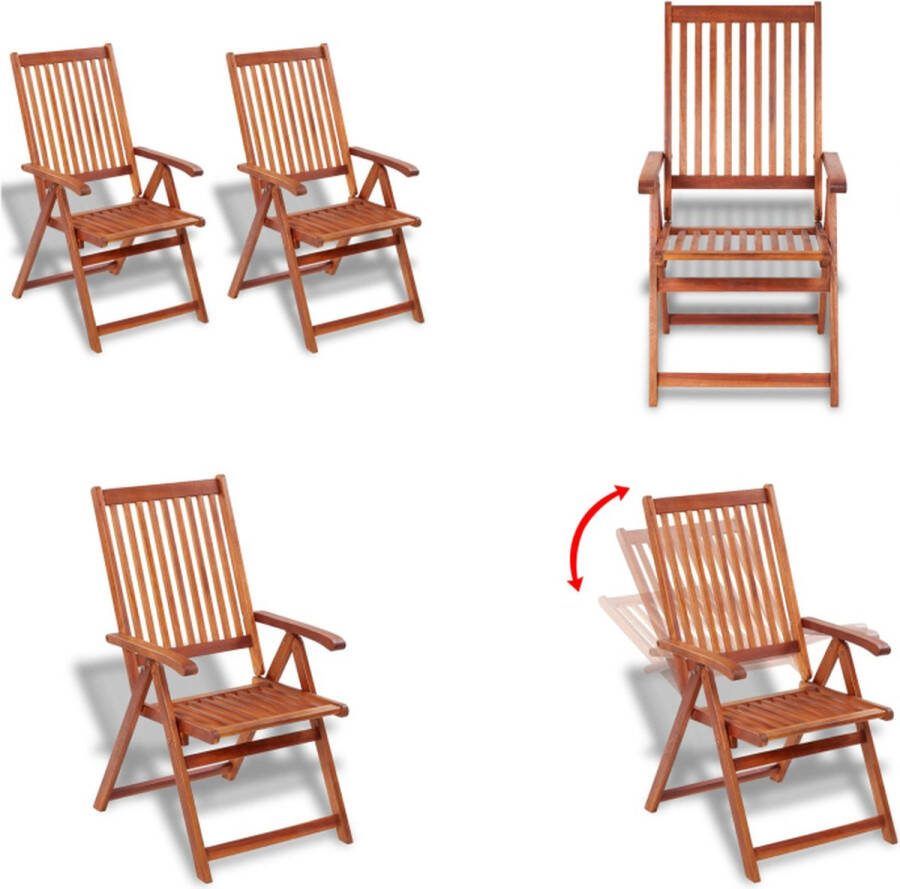 VidaXL Tuinstoelen inklapbaar 2 st massief acaciahout bruin Eetkamerstoel Eetkamerstoelen Houten Eetstoel Houten Eetstoelen